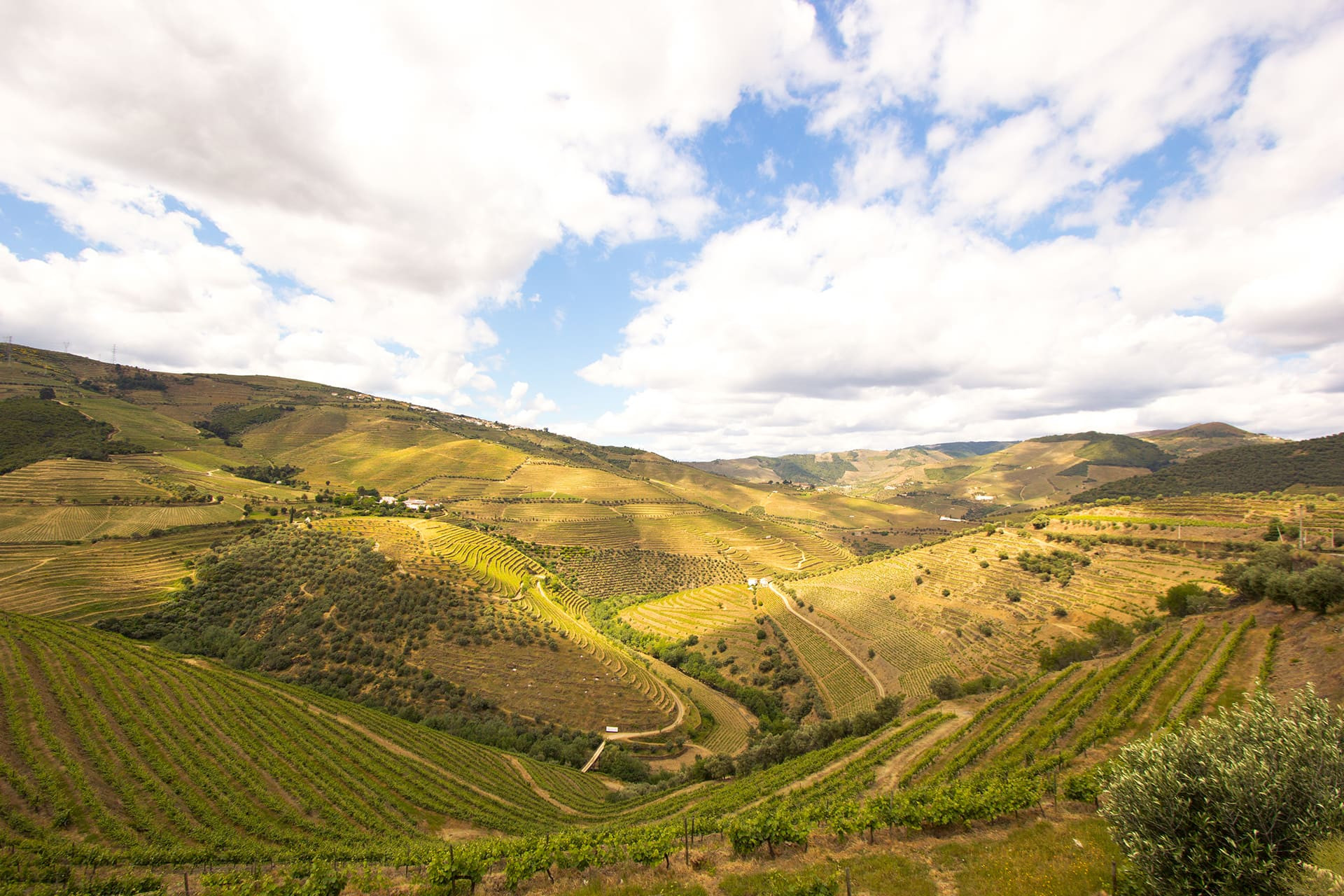 Bike Tour from Porto to Santiago de Compostela - The Central Camino Bike Tour from Porto to Santiago de Compostela - The Central Camino