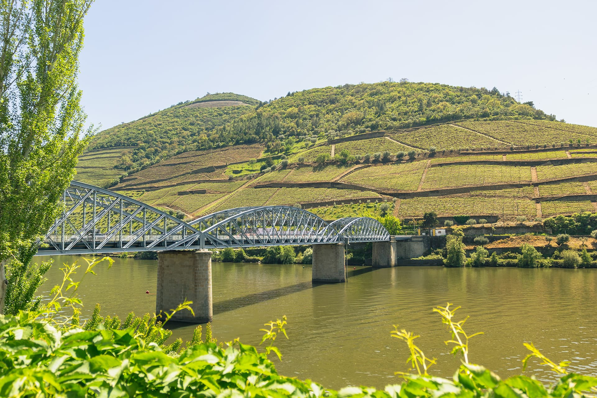 Bike Tour from Porto to Santiago de Compostela - The Central Camino Bike Tour from Porto to Santiago de Compostela - The Central Camino