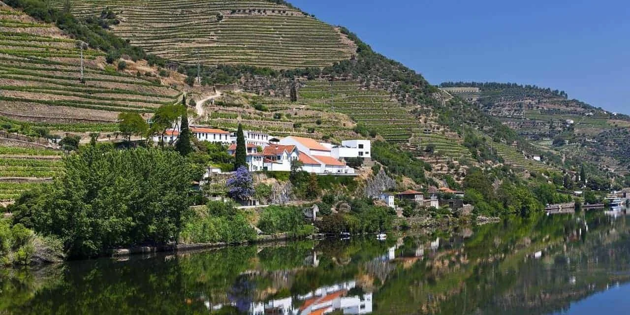 Quinta de La Rosa and the river Douro