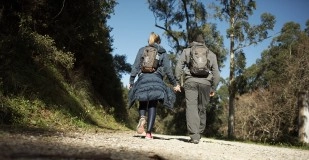 Half or Full day Walking tour by Lisbon's Natural Parks - Sintra and Arrábida