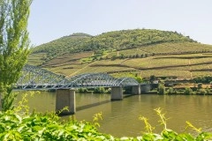 Full day Walking tour by the Douro wine country