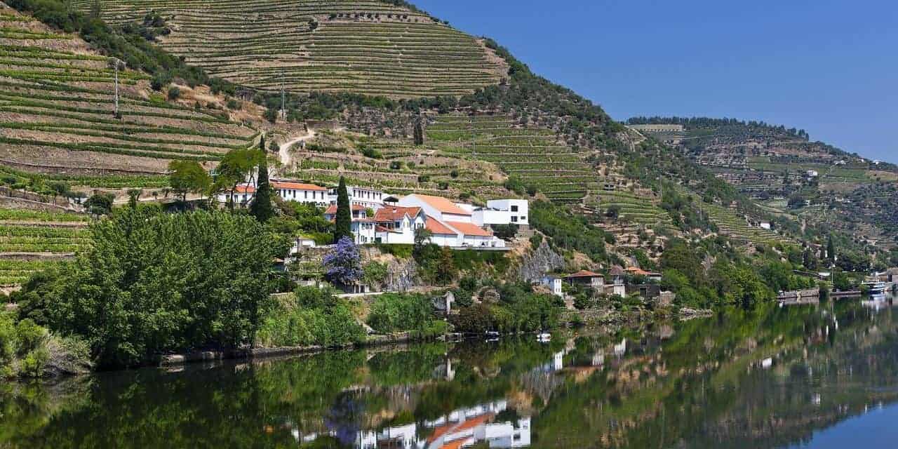 Quinta de La Rosa and the river Douro