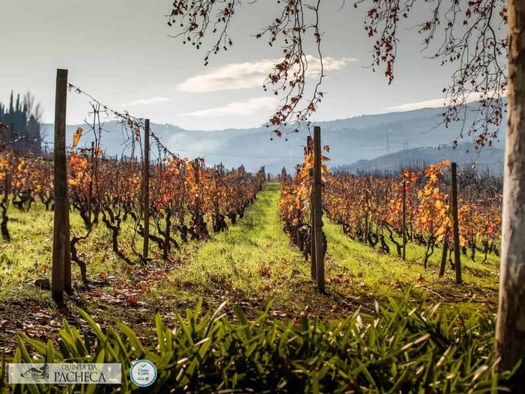 Quinta da Pacheca