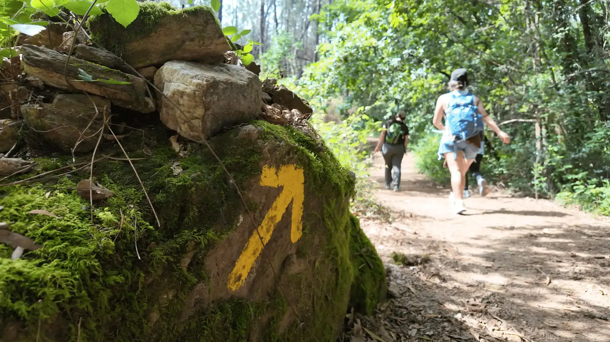 camino santiago walking tours