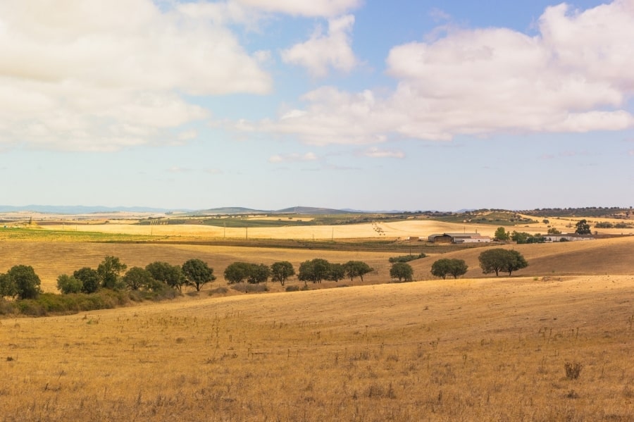 walking tour in alentejo heritage and wine country