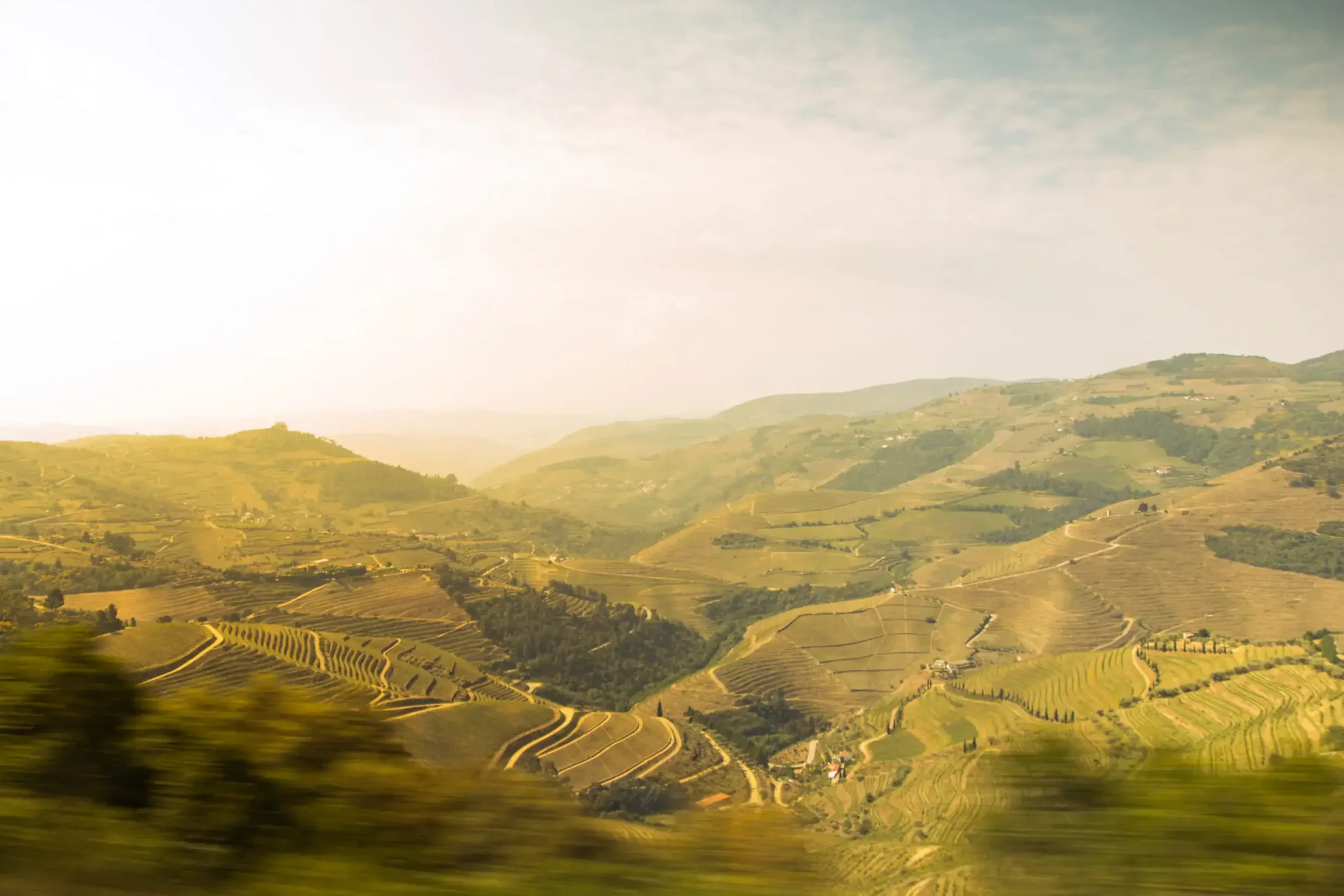 walking tours douro