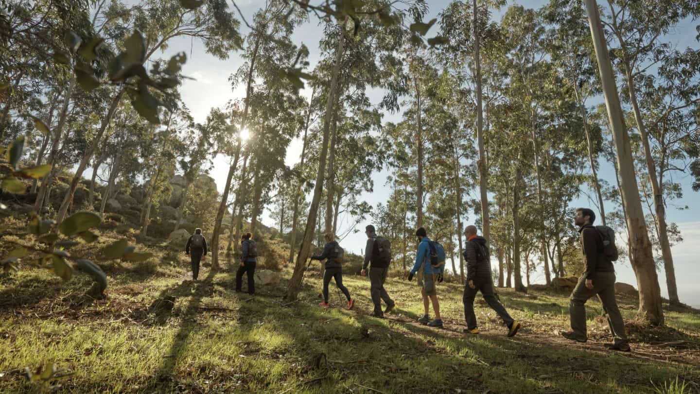 walking tours portugal group hiking in sintra