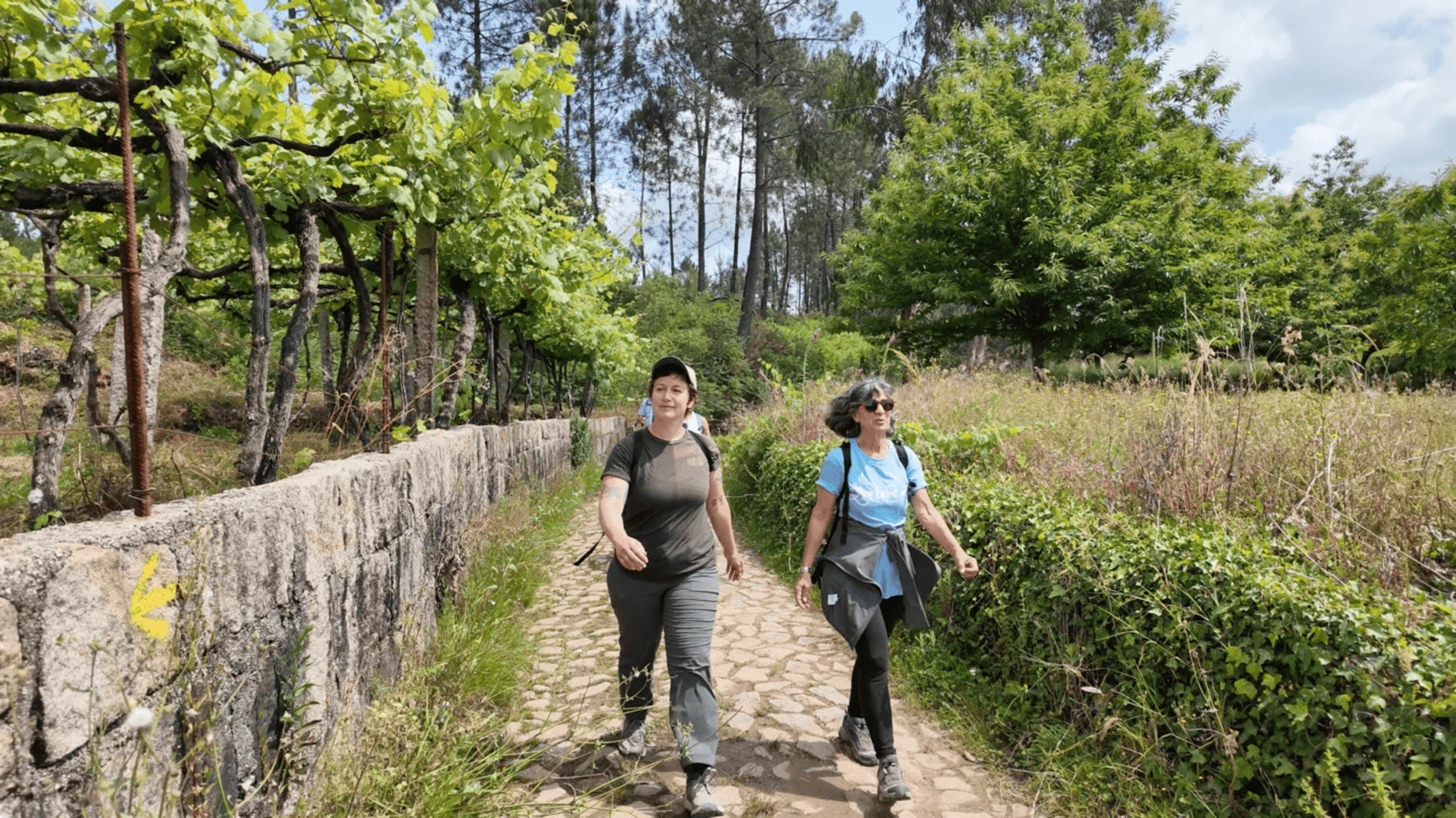 walking tours beginners
