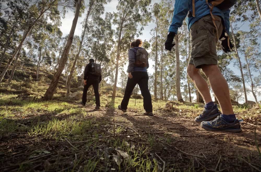 Portugal Walking