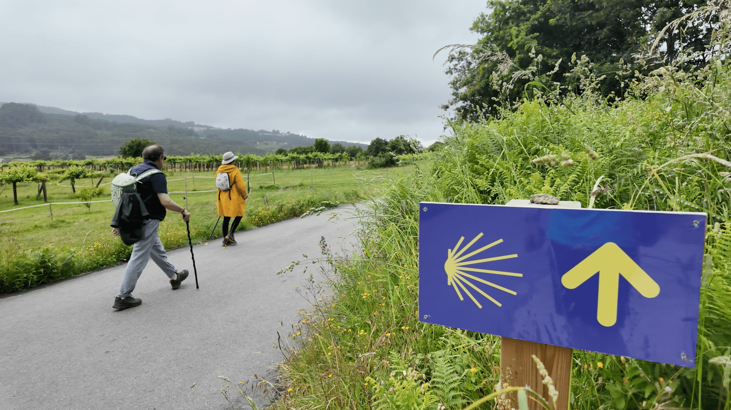 pilgrims walking in the portuguese camino santiago from porto