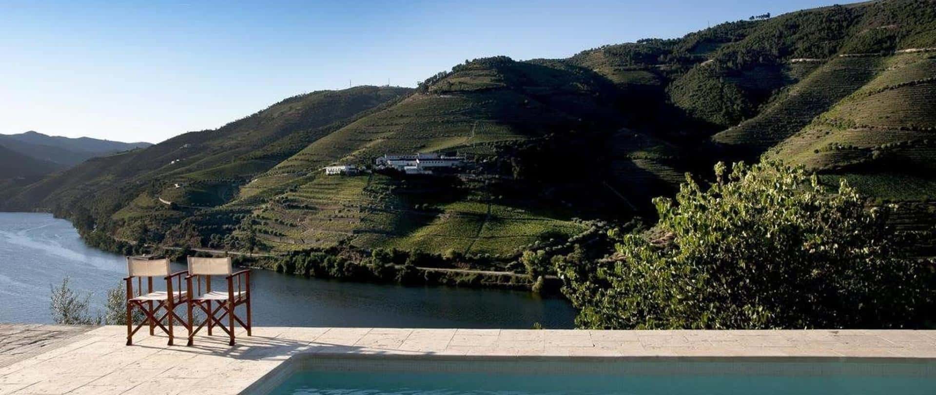 Vineyard landscape at Quinta da Marka with rolling hills and lush greenery in Portugal.