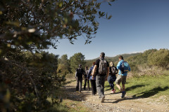 Full day Walking tour by the Douro wine country