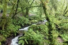 Bike Tour from Porto to Santiago de Compostela - The Central Camino - copy