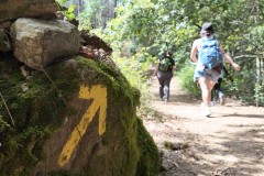 Walking tour in the Portuguese Camino de Santiago - yellow arrows
