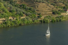 Walking tour by the Douro wine country and historical villages