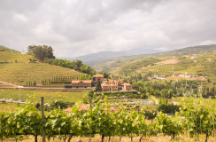 Walking tour by the Douro wine country and historical villages