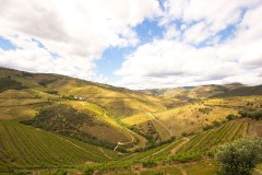 Walking tour by the Douro wine country and historical villages