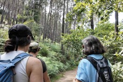 Walking tour in the portuguese camino de santiago: making friends along the way