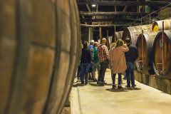 Full day Walking tour by the Douro wine country