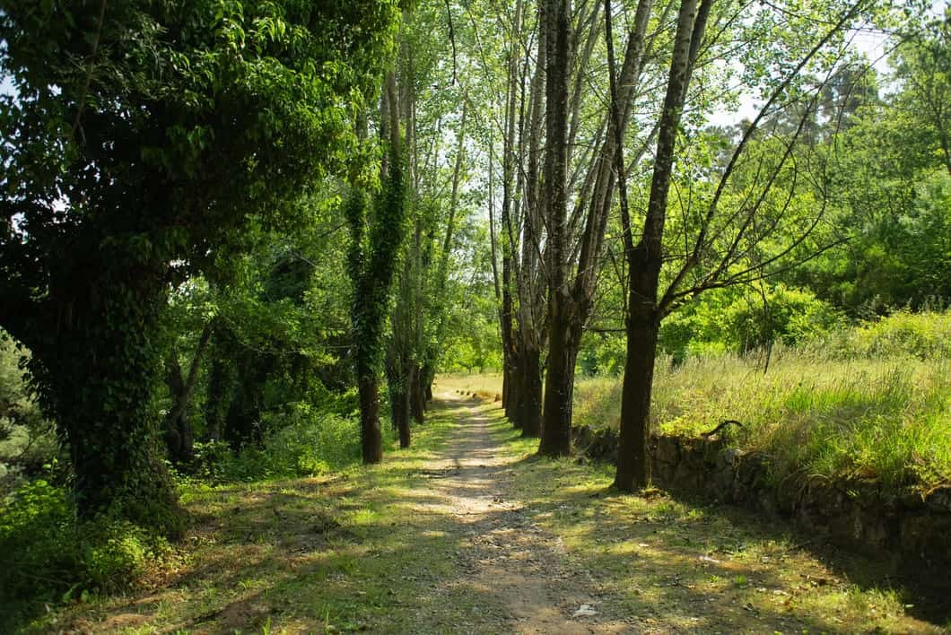 Hike by car free trails, exploring the quaint villages of Soajo, Sistelo and trails alongside the Vez and Lima rivers.