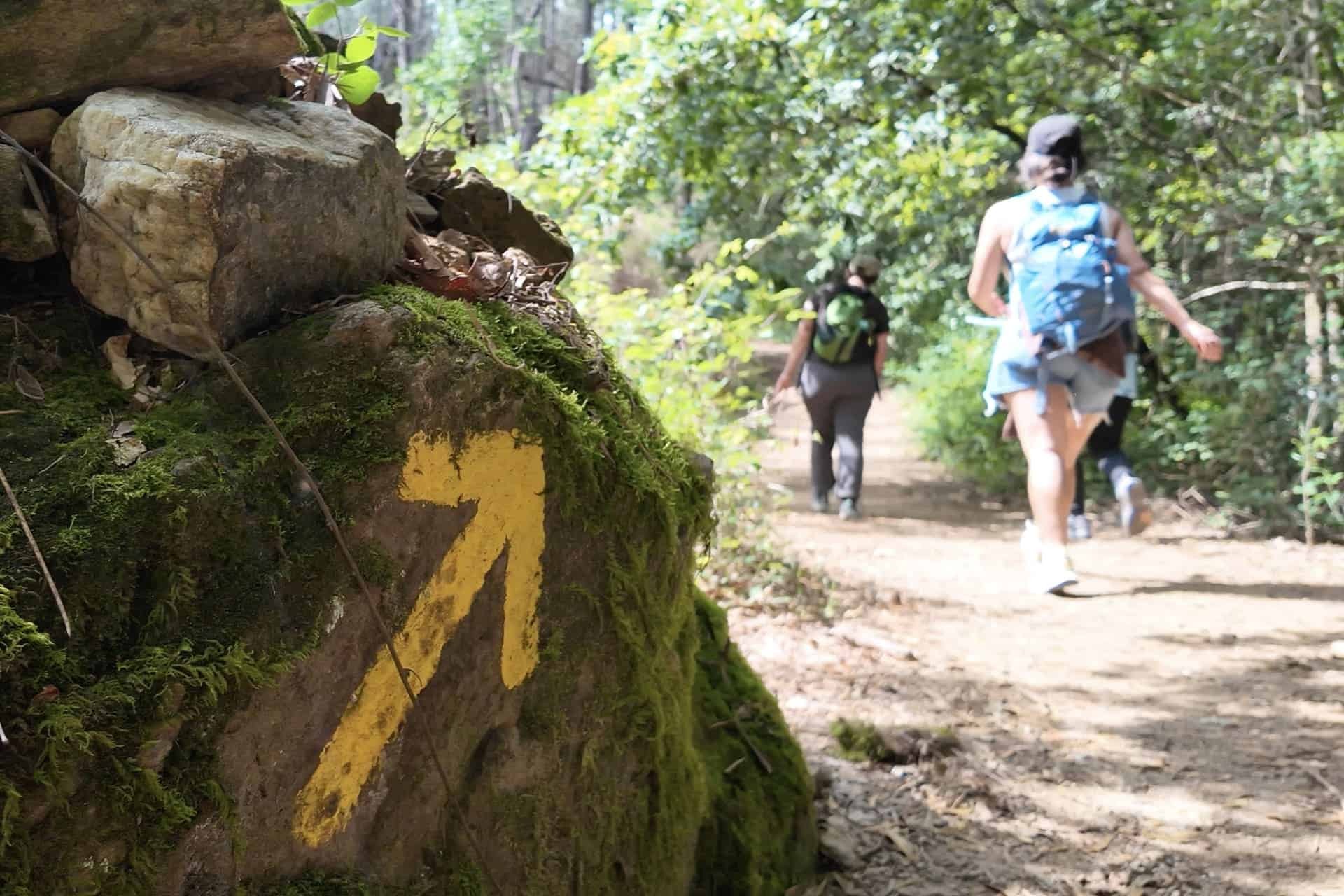 Walking tour in the Portuguese Camino de Santiago - yellow arrows