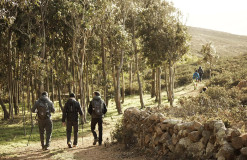 Walking tour by Lisbon, Sintra and Arrábida Natural Parks