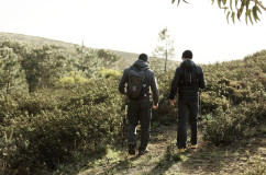 Full day Walking tour by the Douro wine country