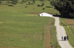 Walking tour in Alentejo - Heritage and Wine Country